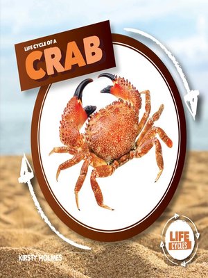 cover image of Life Cycle of a Crab